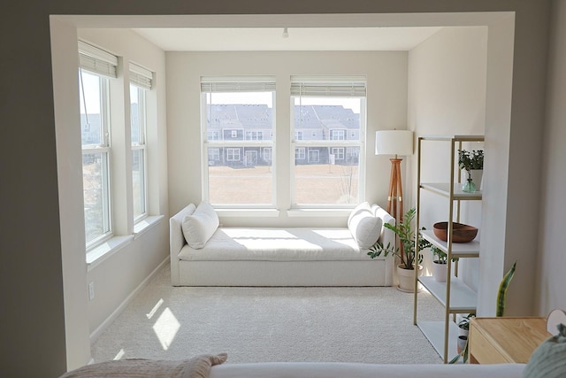 5275 94th Ln N, Brooklyn Park, MN 55443 - living area with carpet floors and baseboards
