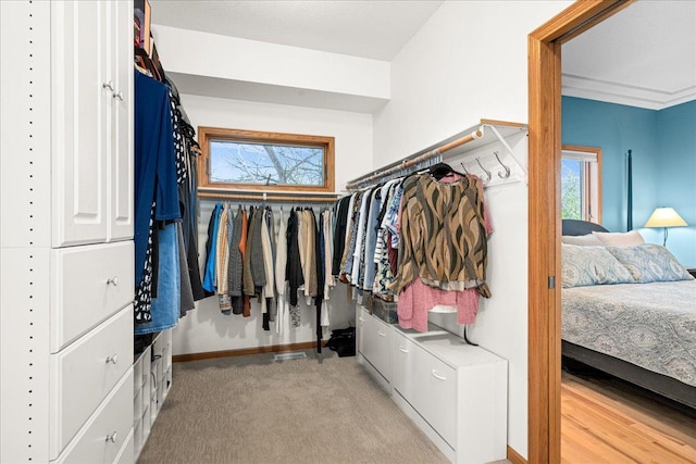 2222 White Oak Ct, Hudson, WI 54016 - view of spacious closet