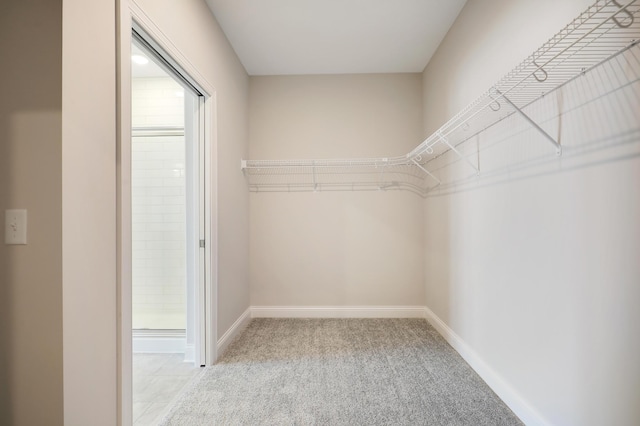 spacious closet with carpet floors