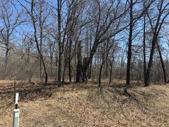 23XX Naples St, Mora, MN 55051 - photo 8