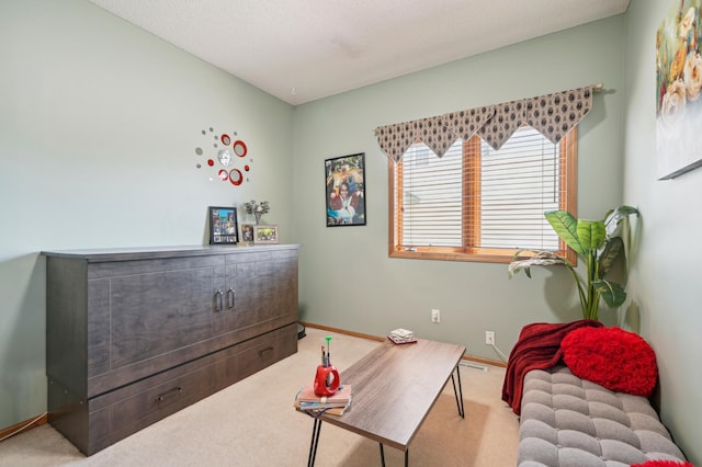 2374 Thrush St, Shakopee, MN 55379 - living area with carpet and baseboards