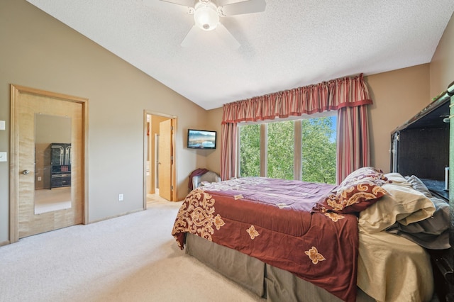 2374 Thrush St, Shakopee, MN 55379 - carpeted bedroom featuring a textured ceiling, lofted ceiling, a ceiling fan, and ensuite bathroom