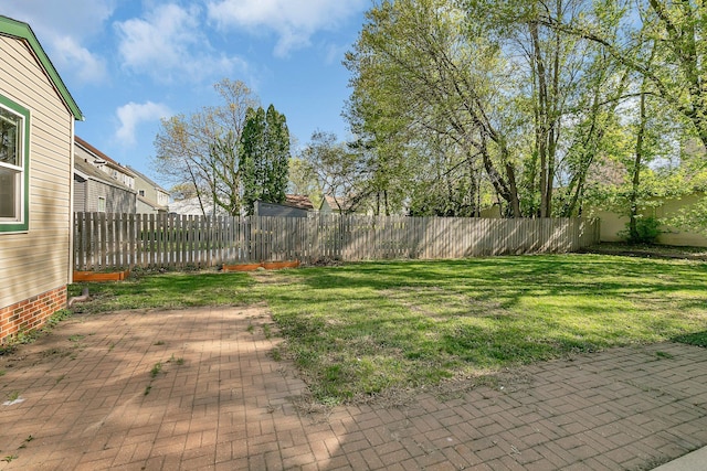 view of yard featuring a patio area