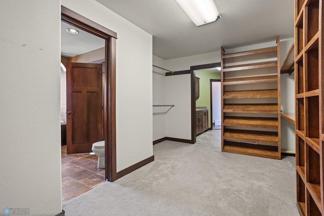 spacious closet featuring carpet floors