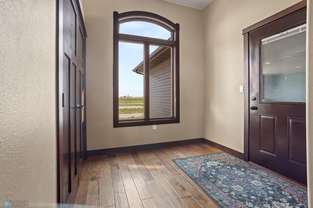 foyer with healthy amount of natural light, hardwood / wood-style flooring, and baseboards
