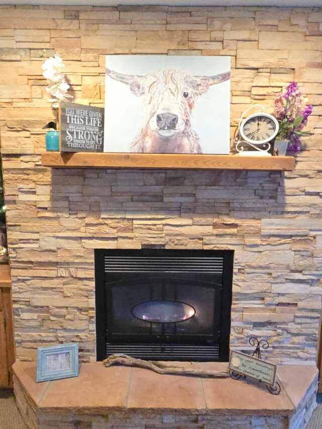 16134 State Highway 1 NE, Thief River Falls, MN 56701 - detailed view of a fireplace