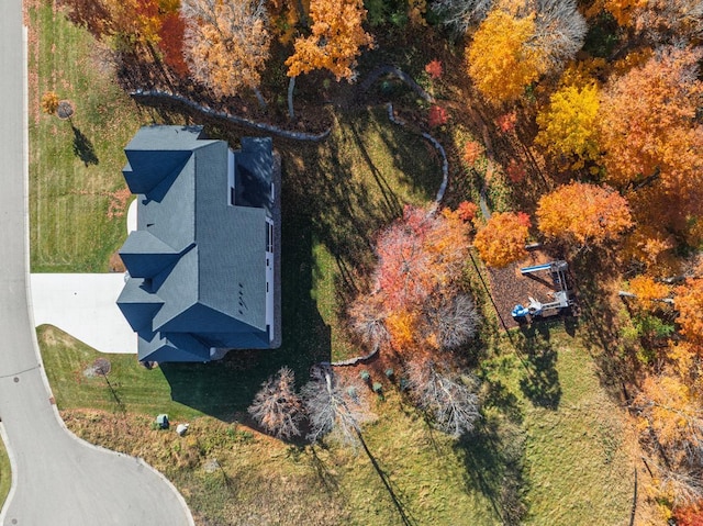 bird's eye view