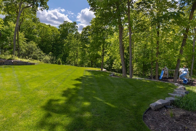 6480 Hawks Pointe Ln, Excelsior, MN 55331 - view of grassy yard featuring a playground