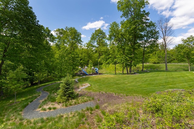 6480 Hawks Pointe Ln, Excelsior, MN 55331 - view of green lawn