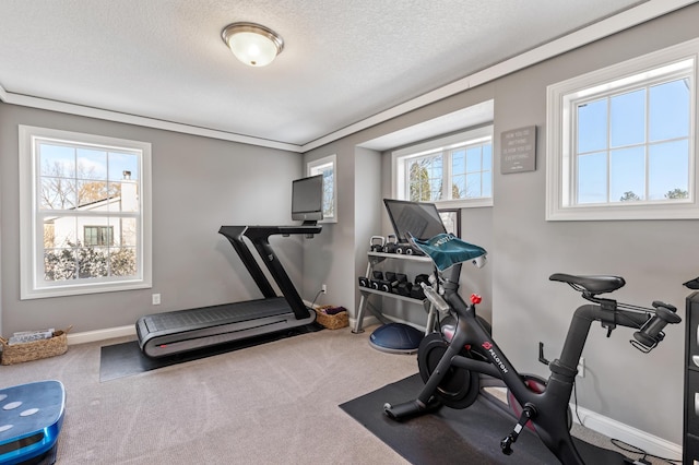 1105 Brown Rd S, Orono, MN 55391 - exercise room with baseboards, a textured ceiling, and carpet floors