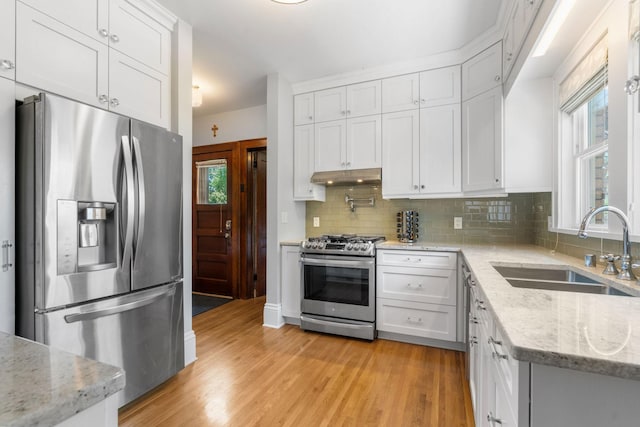 1520 Randolph Ave, Saint Paul, MN 55105 - kitchen featuring stainless steel appliances, a sink, under cabinet range hood, light wood-style floors, and tasteful backsplash