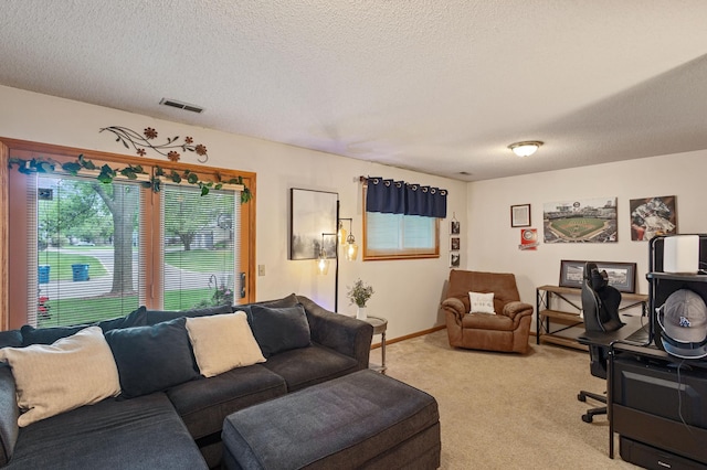 1060 Aston Cir, Burnsville, MN 55337 - living room with light carpet and a textured ceiling