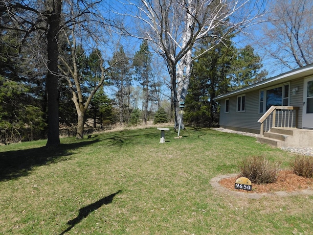 view of yard