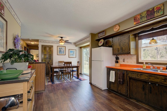 kitchen with a sink, freestanding refrigerator, dark brown cabinets, and dark wood finished floors