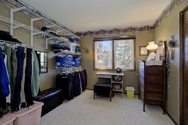walk in closet with carpet