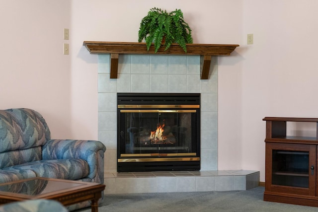 detailed view of carpet and a fireplace