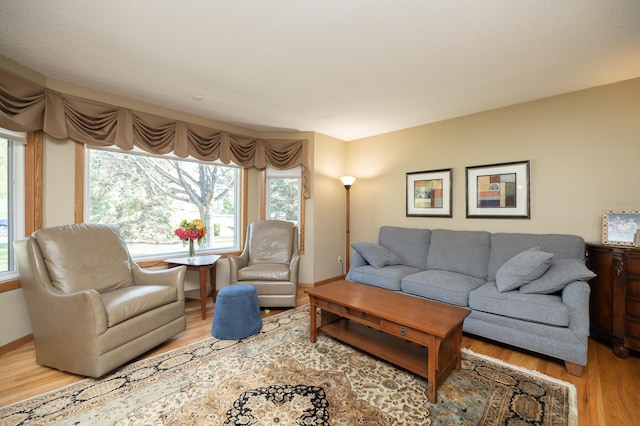 living room featuring wood finished floors and baseboards