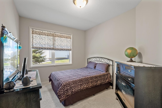 11062 16th St NE, Saint Michael, MN 55376 - bedroom with light carpet and baseboards