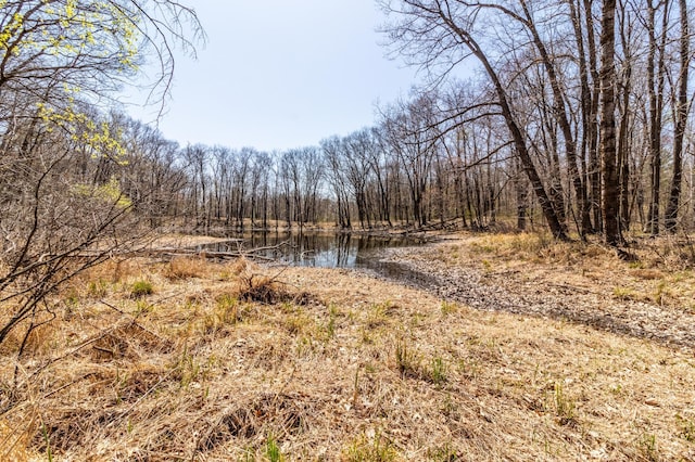 TBD Chipmunk Pass, Randall, MN 56475
