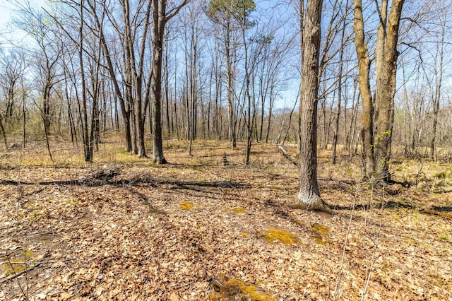 TBD Chipmunk Pass, Randall, MN 56475