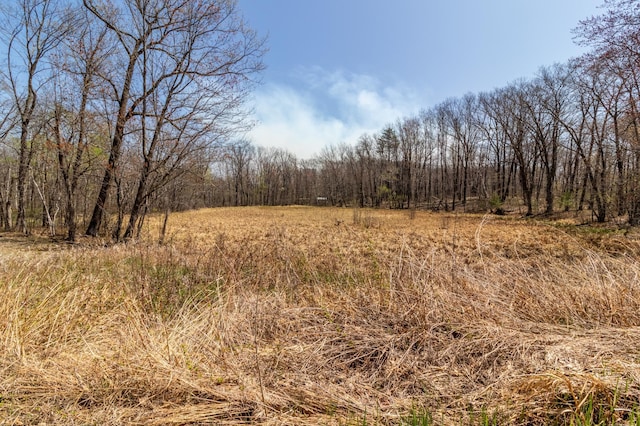 TBD Chipmunk Pass, Randall, MN 56475