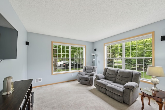 12245 Urbank St NE Unit E, Blaine, MN 55449 - living area with a textured ceiling, baseboards, and carpet floors