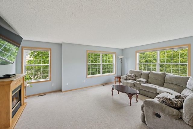 12245 Urbank St NE Unit E, Blaine, MN 55449 - carpeted living area with a textured ceiling, baseboards, and a glass covered fireplace