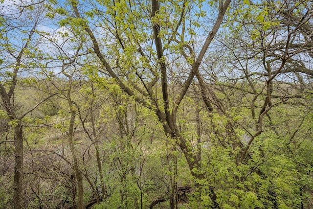 view of local wilderness with a view of trees