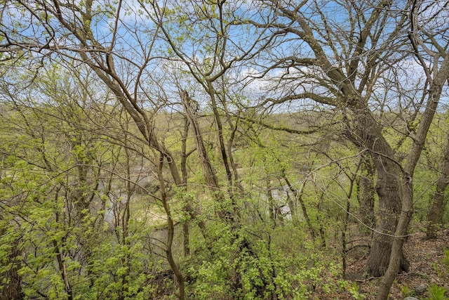 view of nature featuring a wooded view