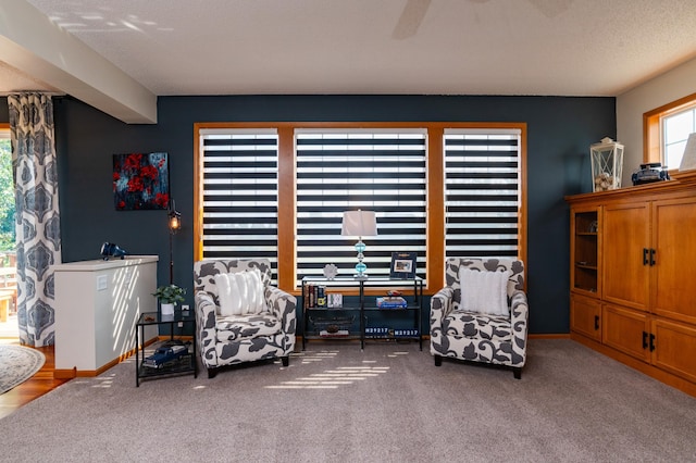 living area with carpet floors and baseboards