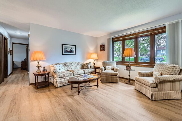 792 Gramsie Rd, Shoreview, MN 55126 - living area with light wood-style flooring and baseboards