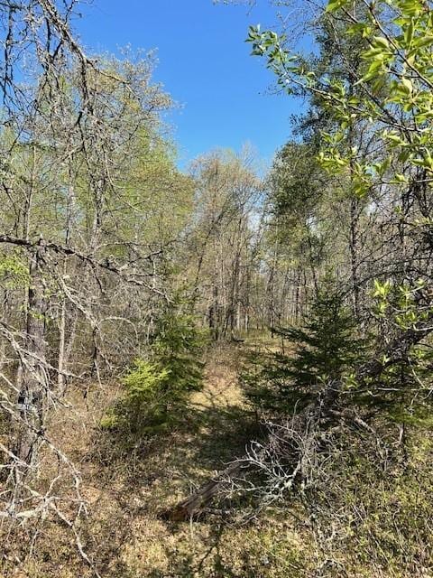 TBD Mikes Rd SW, Bemidji, MN 56601