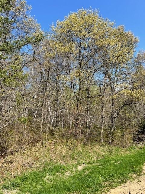 TBD Mikes Rd SW, Bemidji, MN 56601