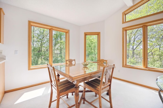 10715 57th Ave N, Plymouth, MN 55442 - dining room featuring baseboards, light carpet, and lofted ceiling