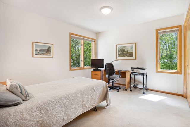 10715 57th Ave N, Plymouth, MN 55442 - bedroom featuring light carpet, multiple windows, a desk, and baseboards