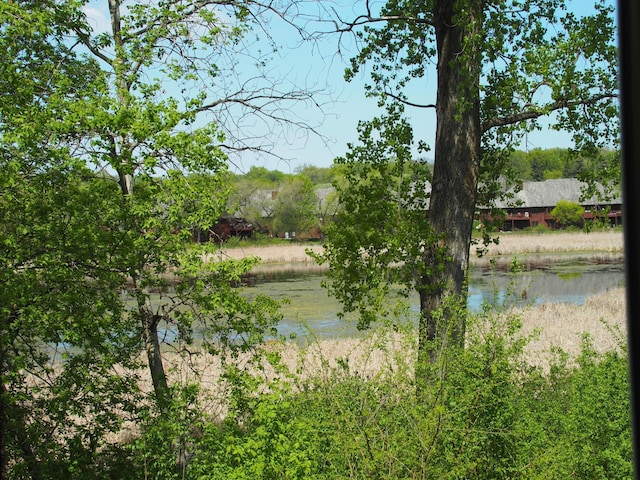 10715 57th Ave N, Plymouth, MN 55442 - water view