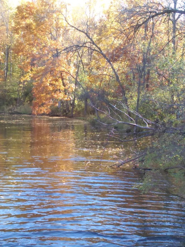 10715 57th Ave N, Plymouth, MN 55442 - water view with a heavily wooded area