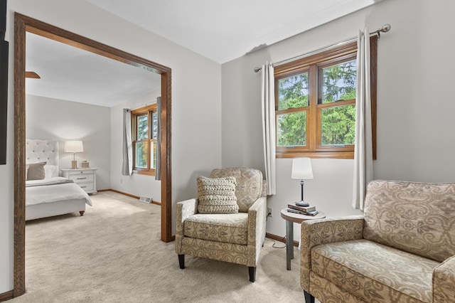 1228 Tamberwood Trl, Woodbury, MN 55125 - living area with healthy amount of natural light, carpet, and baseboards