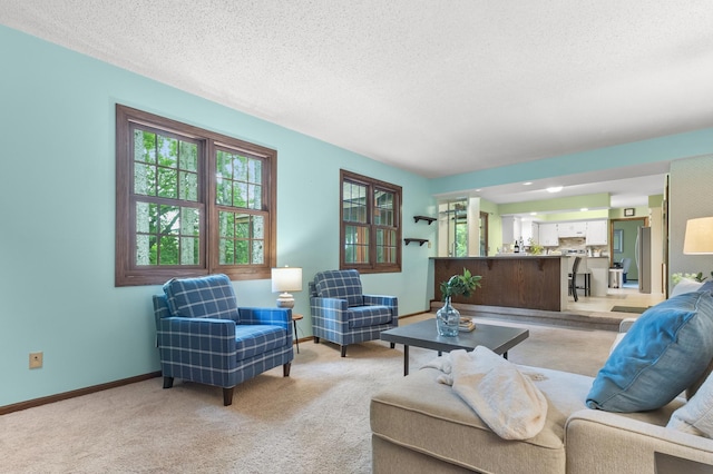 1228 Tamberwood Trl, Woodbury, MN 55125 - living area featuring light carpet, a textured ceiling, and baseboards