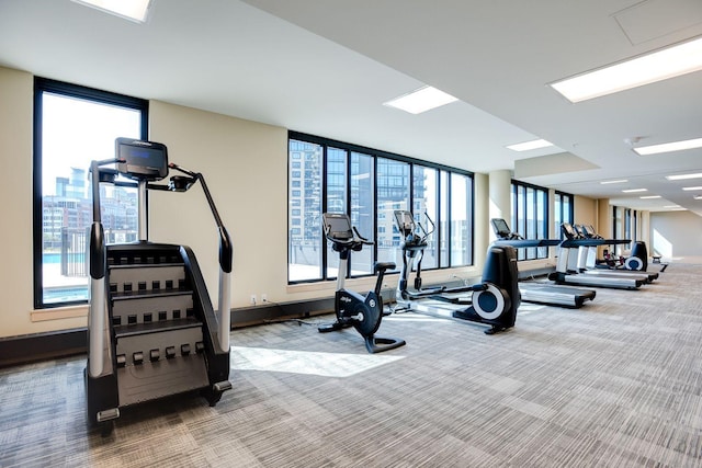 exercise room featuring carpet and healthy amount of natural light