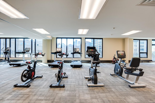 workout area featuring carpet floors