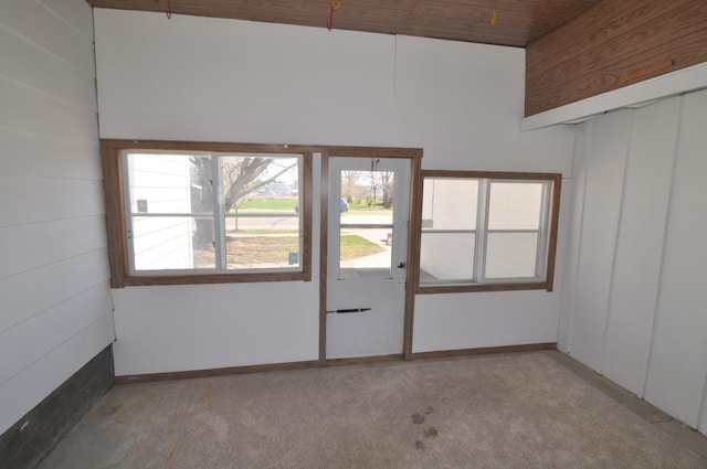 811 Pleasant Ave S, Park Rapids, MN 56470 - carpeted empty room with a wealth of natural light