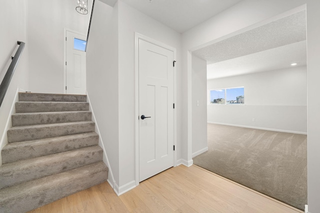 6738 Wildflower Way, Minnetrista, MN 55331 - stairs with baseboards, wood finished floors, and carpet