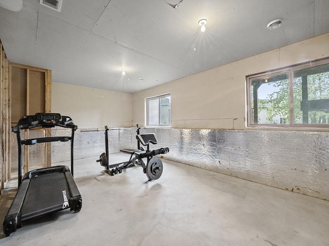 9185 Golden Pond Ln N, Monticello, MN 55362 - exercise room featuring plenty of natural light