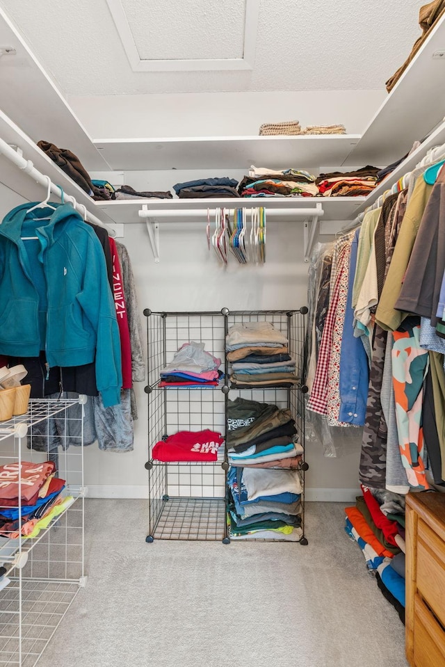walk in closet with carpet flooring and attic access