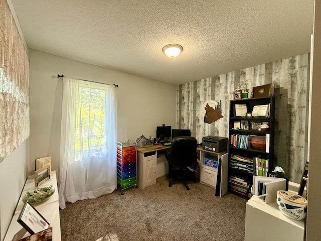 office with a textured ceiling and carpet floors