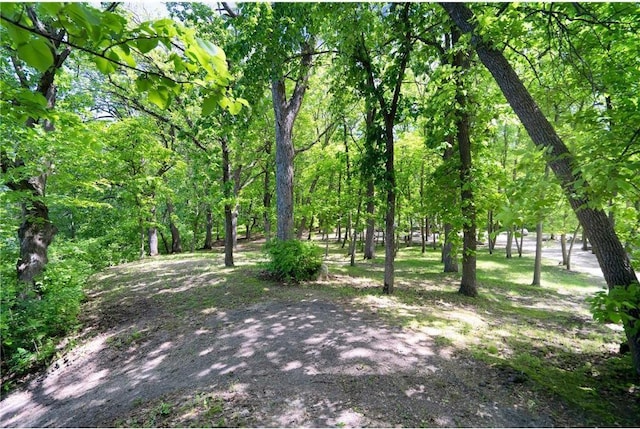 36458 Csah 2, Watkins, MN 55389 - photo 2