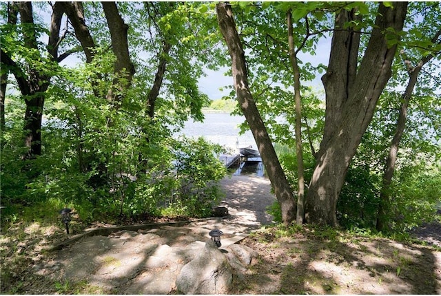 36458 Csah 2, Watkins, MN 55389 - photo 4