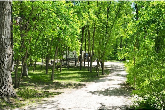 36458 Csah 2, Watkins, MN 55389 - photo 7