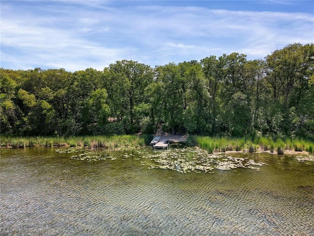 36458 Csah 2, Watkins, MN 55389 - photo 32
